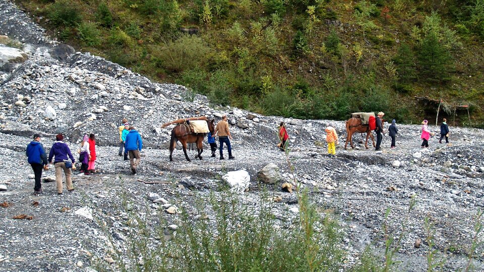 Im Saumzug «Unterwegs zum Gotthard», ¾ Stunden vor Silenen.