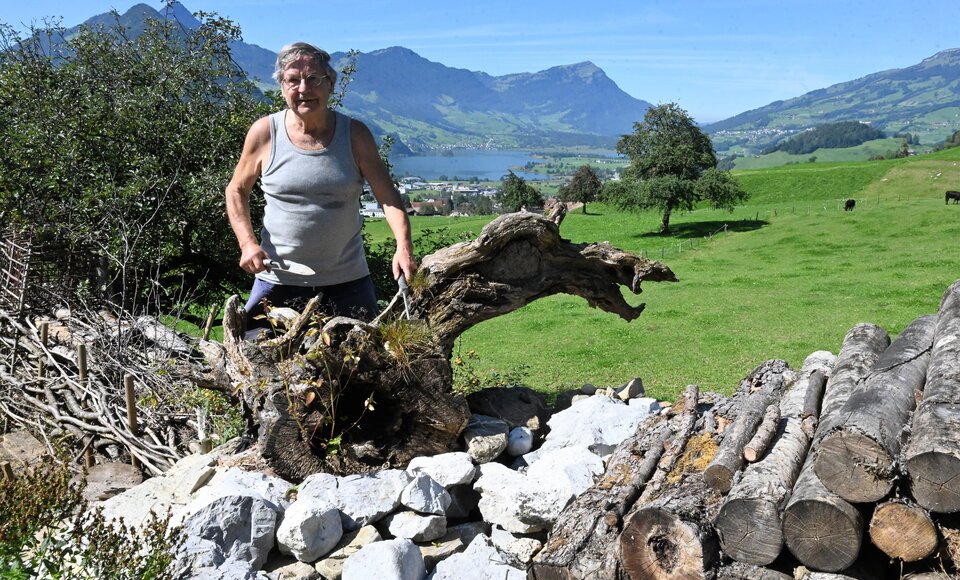 Schwyz: Melk Ulrich zeigt seine zahlreichen Kleinstrukturen im Garten. (Bild: Romano Cuonz, 2020)