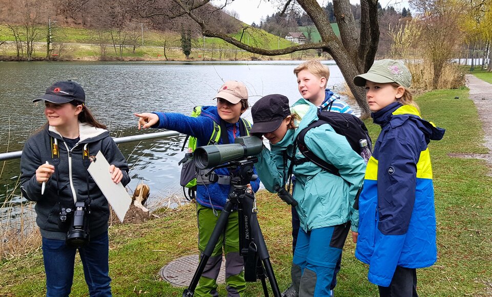 Die Jugendgruppe von BirdLife Luzern unterwegs am Rotsee (Bild: Peter Knaus).