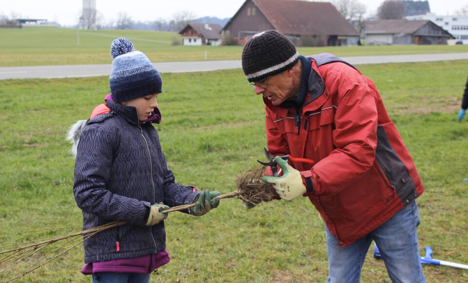 Heckenpflanzung in Neuenkirch durch die BirdLife-Sektion NaturRaum Oberer Sempachersee (Bild: Susanna Lohri).