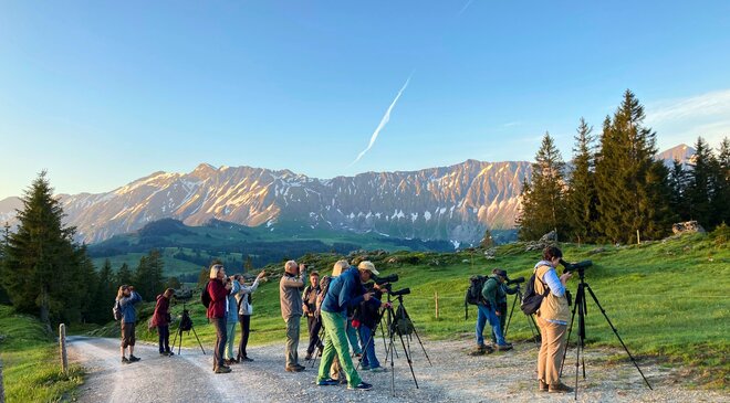 BirdLife Luzern: Suche der Waldschnepfe im Entlebuch anlässlich der Ornithologischen Weiterbildung 2021 (Bild: Martin Käch).