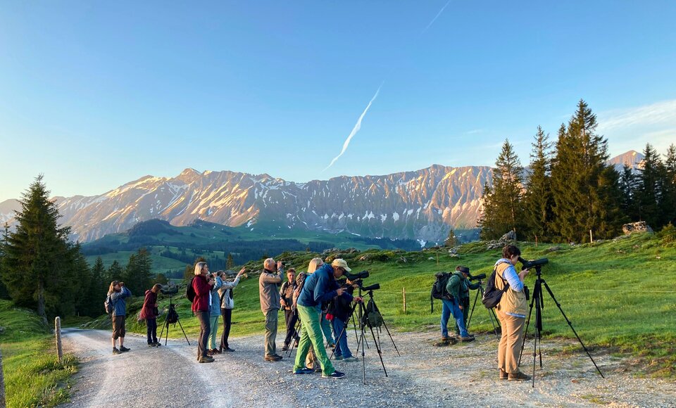 BirdLife Luzern: Suche der Waldschnepfe im Entlebuch anlässlich der Ornithologischen Weiterbildung 2021 (Bild: Martin Käch).