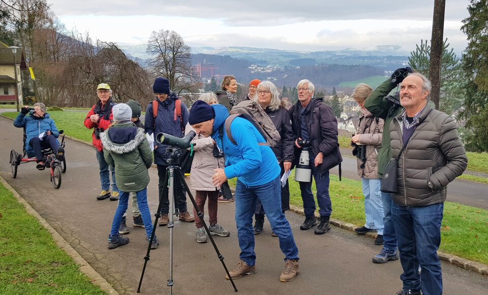 BirdLife Luzern: Exkursion anlässlich der Stunde der Wintervögel 2023, Dreilindenpark Luzern (Bild: Peter Knaus).